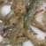 鲜活南美对虾大虾超大海虾鲜活冷冻白虾对虾基围虾大虾新