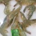 鲜活南美对虾大虾超大海虾鲜活冷冻白虾对虾基围虾大虾新
