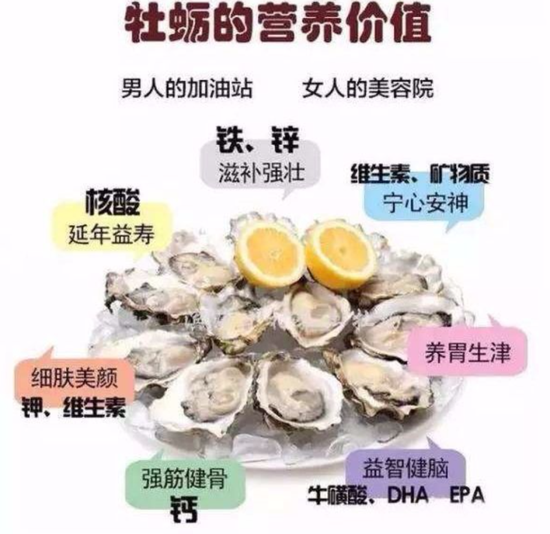 生蚝肉鲜活现剥蚝肉生蚝生耗水产牡蛎新鲜海鲜海蛎子去壳生蚝