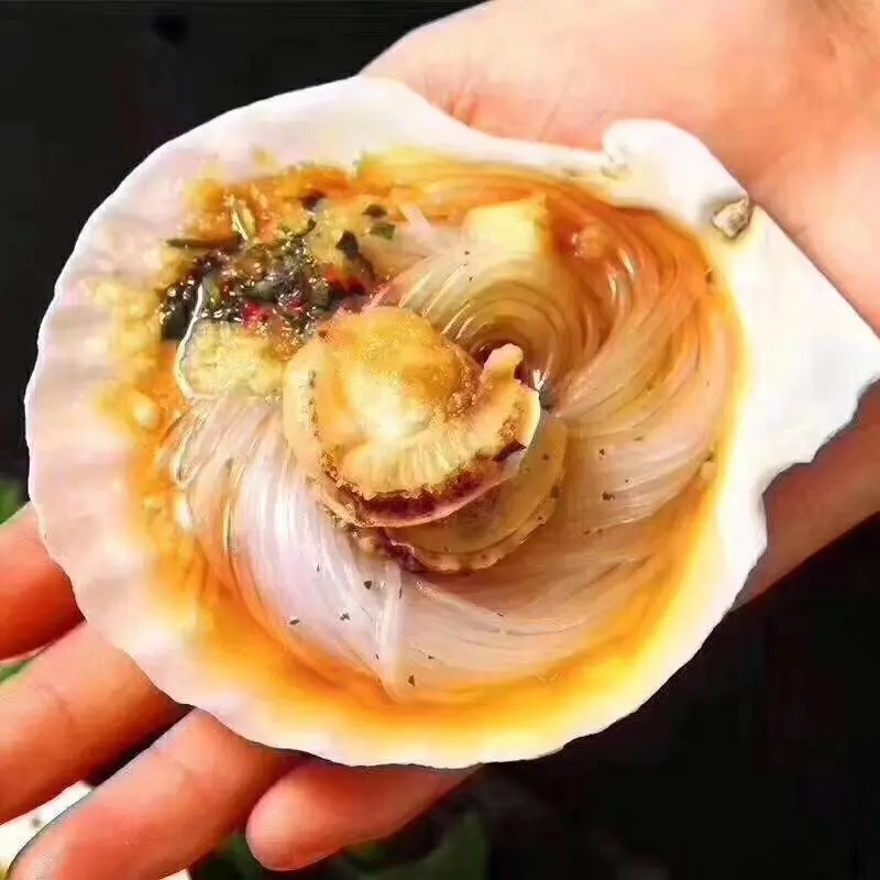 蒜蓉粉丝扇贝装蒜蓉粉丝扇贝海鲜烧网红烤蒸扇