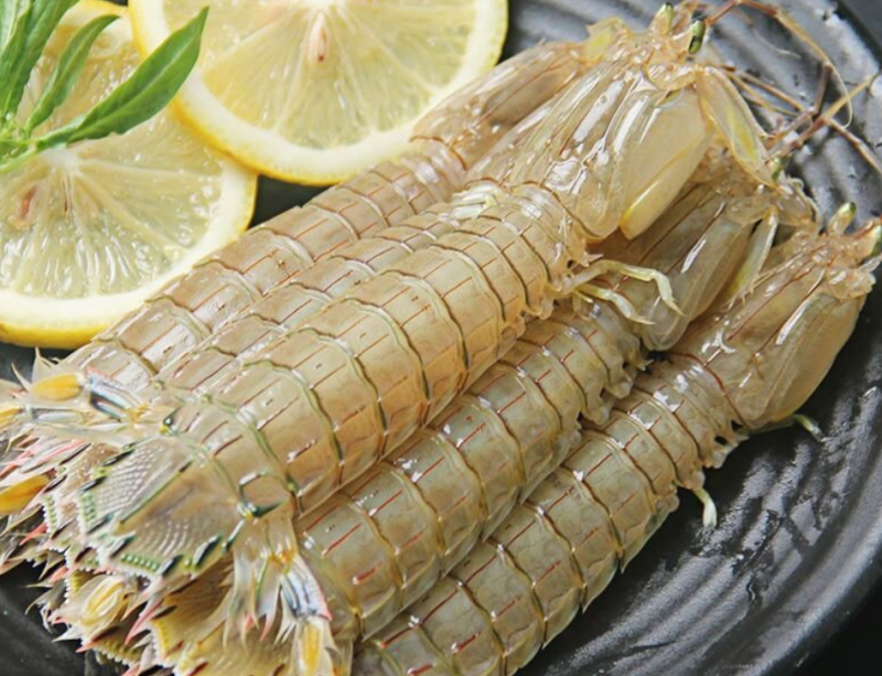 精品★皮皮虾虾爬虾婆【各规格齐全】