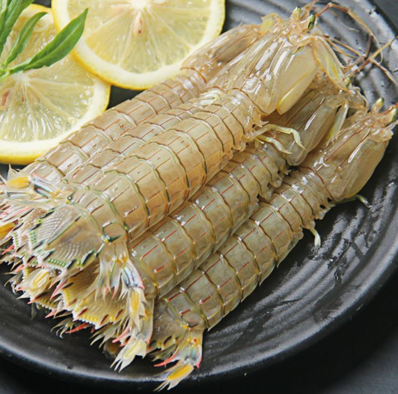 精品★皮皮虾虾爬虾婆【各规格齐全】