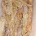 速冻皮皮虾皮皮大个皮皮虾濑尿虾虾姑富贵虾琵琶虾虾爬子