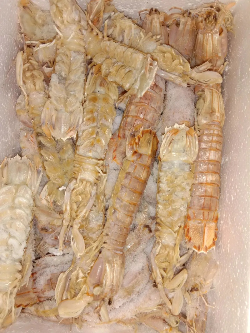 速冻皮皮虾皮皮大个皮皮虾濑尿虾虾姑富贵虾琵琶虾虾爬子
