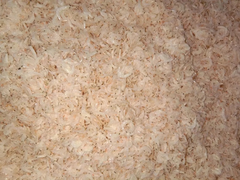 虾皮无盐淡干特级虾米干海鲜干货海鲜类海产品补钙海