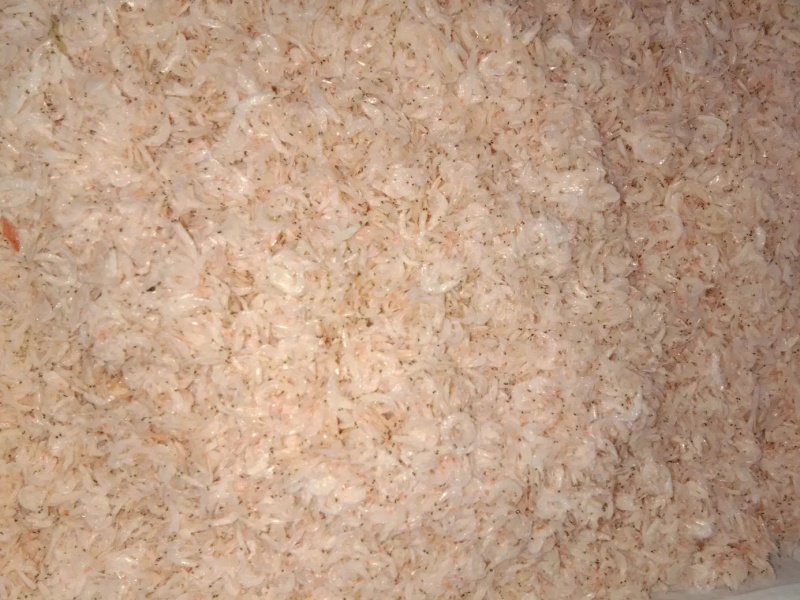 虾皮无盐淡干特级虾米干海鲜干货海鲜类海产品补钙海