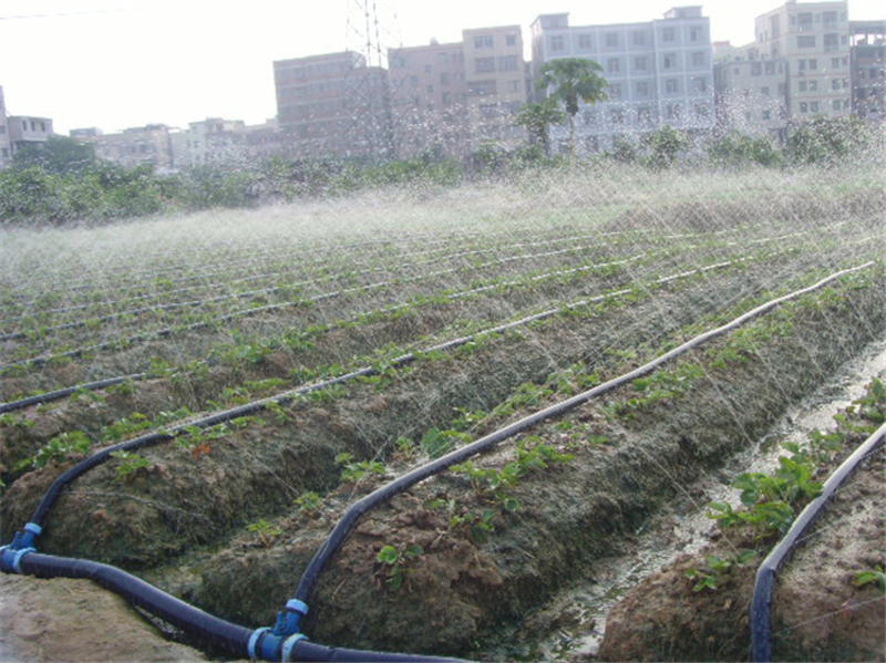 输水带PE主管输水带增湿农田漫灌灌溉软管滴灌微喷