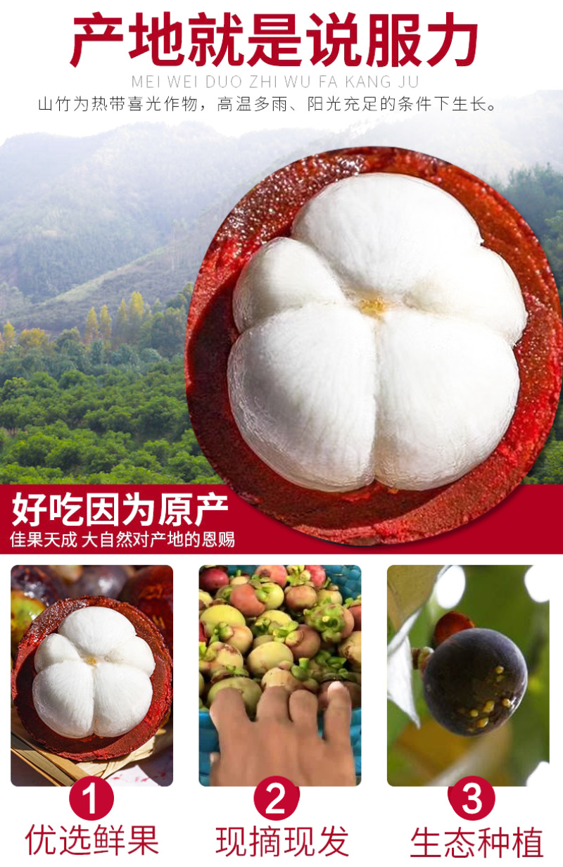 【一件代发】山竹油竹麻竹顺丰包邮支持各大电商平台代发