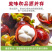 【一件代发】山竹油竹麻竹顺丰包邮支持各大电商平台代发
