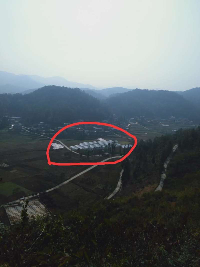 文山西畴县8亩大棚地出租