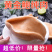 包邮大连黄金鲍鱼澳鲍黄金大鲍鱼特大多肉无壳