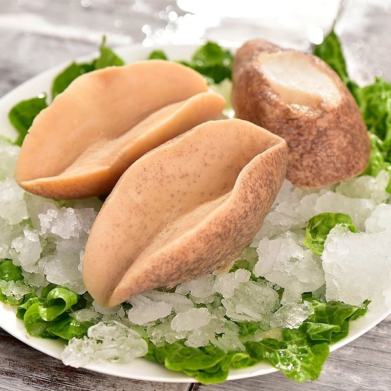 包邮大连黄金鲍鱼澳鲍黄金大鲍鱼特大多肉无壳
