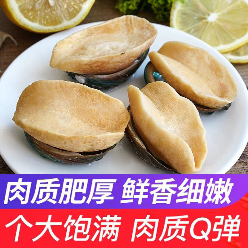 包邮大连黄金鲍鱼澳鲍黄金大鲍鱼特大多肉无壳