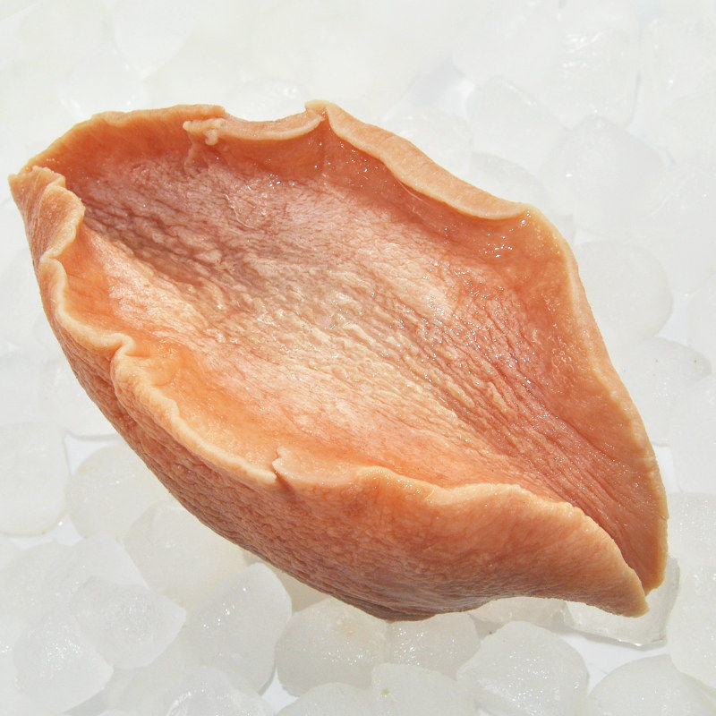 包邮大连黄金鲍鱼澳鲍黄金大鲍鱼特大多肉无壳