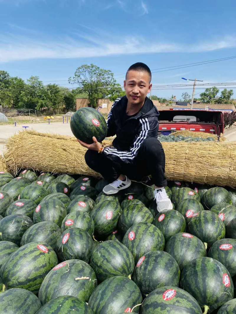 特级暮田家宝西瓜不甜不要钱地头直发现摘现卖！