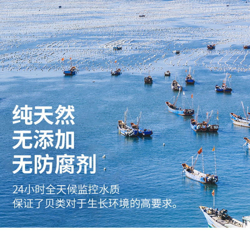 包邮蒜蓉粉丝扇贝过节送礼品网红烤蒸扇贝夏夷贝即食海鲜
