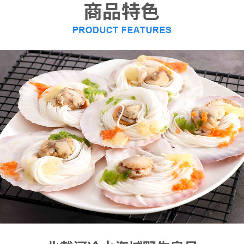包邮蒜蓉粉丝扇贝过节送礼品网红烤蒸扇贝夏夷贝即食海鲜