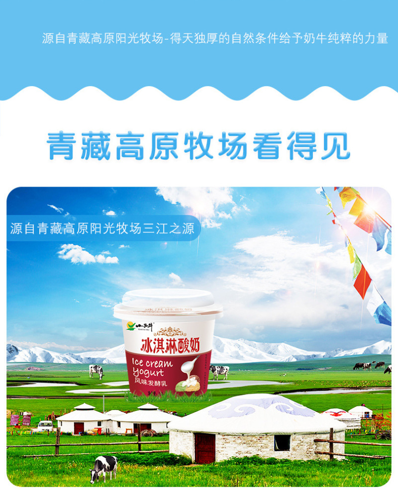 小西牛冰淇淋酸奶青海老酸奶风味发酵乳高原特色酸奶