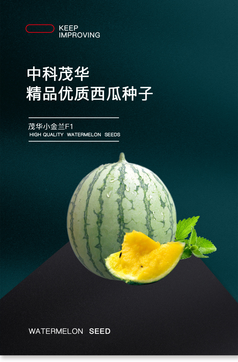中科茂华蔬菜瓜果种子茂华小金兰礼品西瓜种子花皮黄肉超小凤
