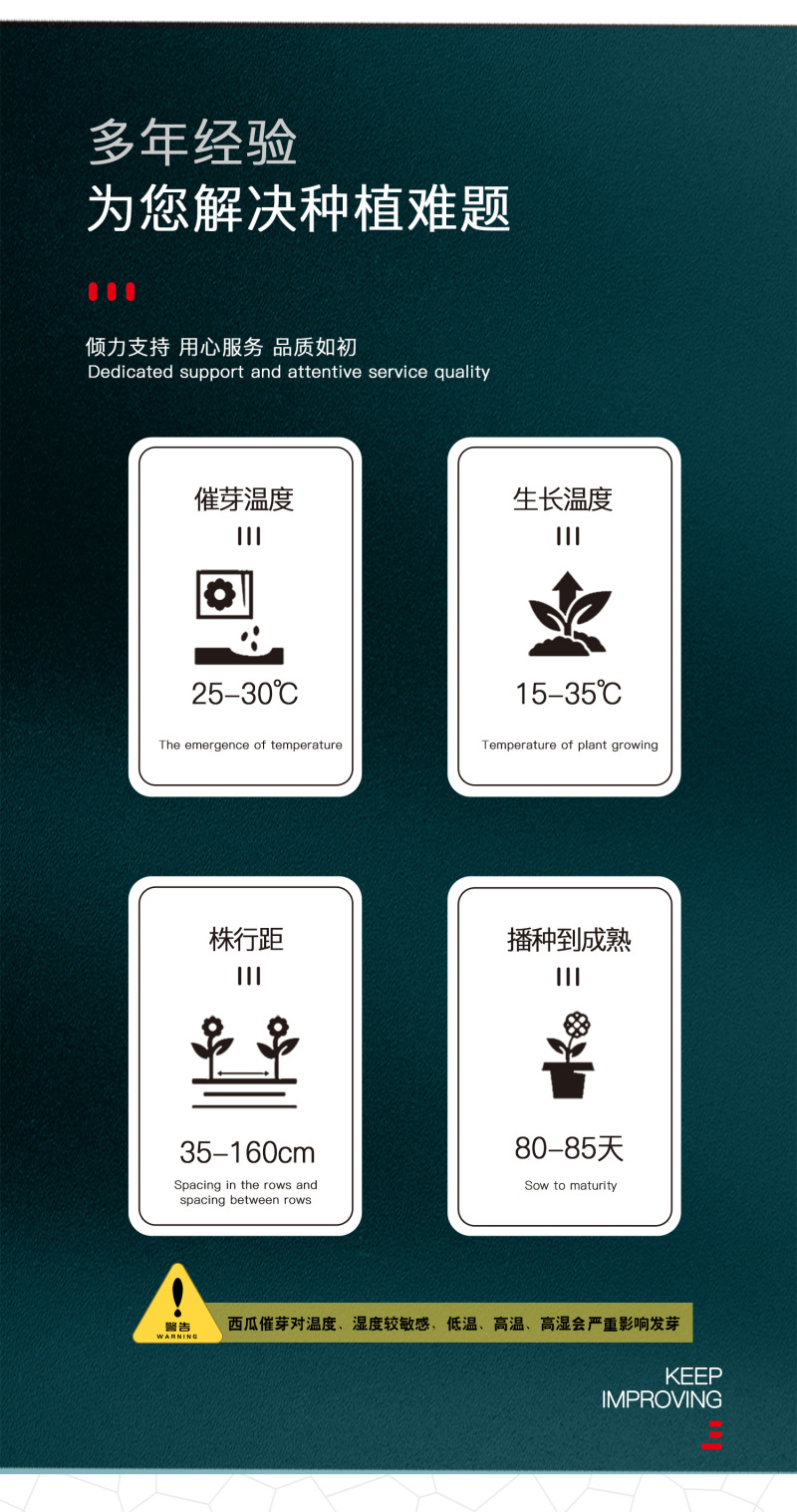 中科茂华蔬菜瓜果种子茂华小金兰礼品西瓜种子花皮黄肉超小凤