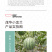 中科茂华蔬菜瓜果种子茂华小金兰礼品西瓜种子花皮黄肉超小凤