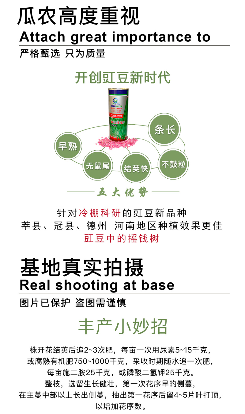 中科茂华蔬菜种子绿长丰神豇一号豇豆种子长豆角缸豆种子