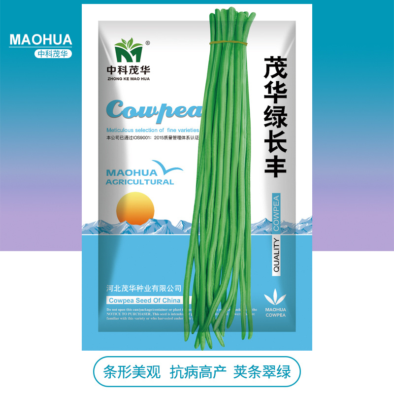 中科茂华蔬菜种子绿长丰神豇一号豇豆种子长豆角缸豆种子