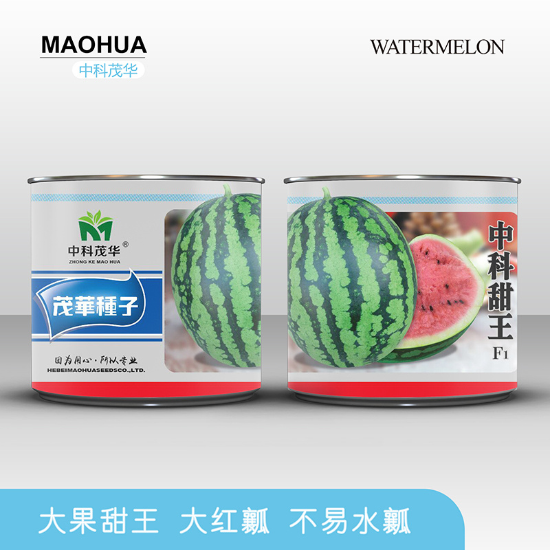 中科茂华瓜果种子中科甜王西瓜种子昂菲传奇甜王杂交高圆形