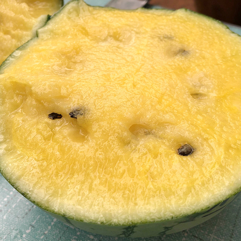 中科茂华蔬菜瓜果种子茂华小金兰礼品西瓜种子花皮黄肉超小凤