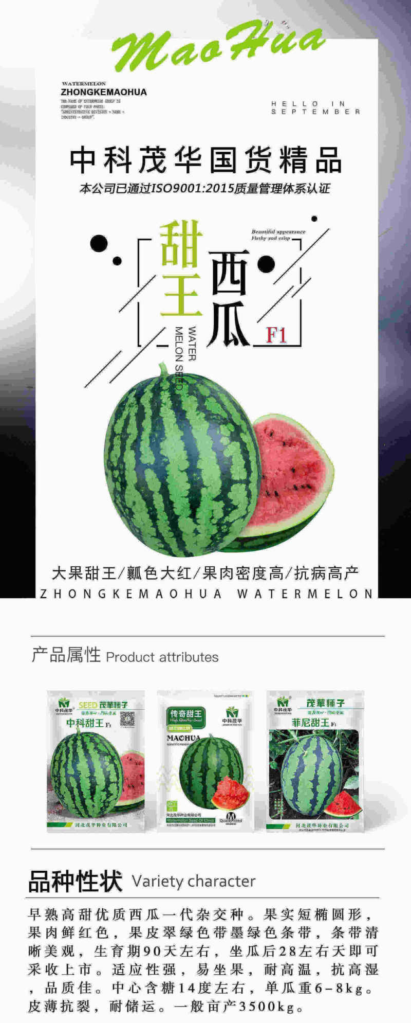 中科茂华瓜果种子盖世甜王西瓜种子高圆形大红瓤不水瓤