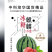 中科茂华水果种子16度冰糖麒麟西瓜种子小时候的西瓜味道