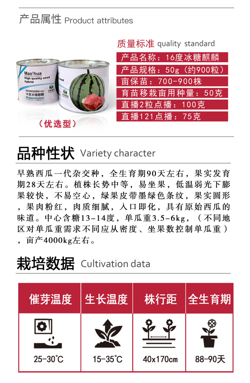 中科茂华水果种子16度冰糖麒麟西瓜种子小时候的西瓜味道