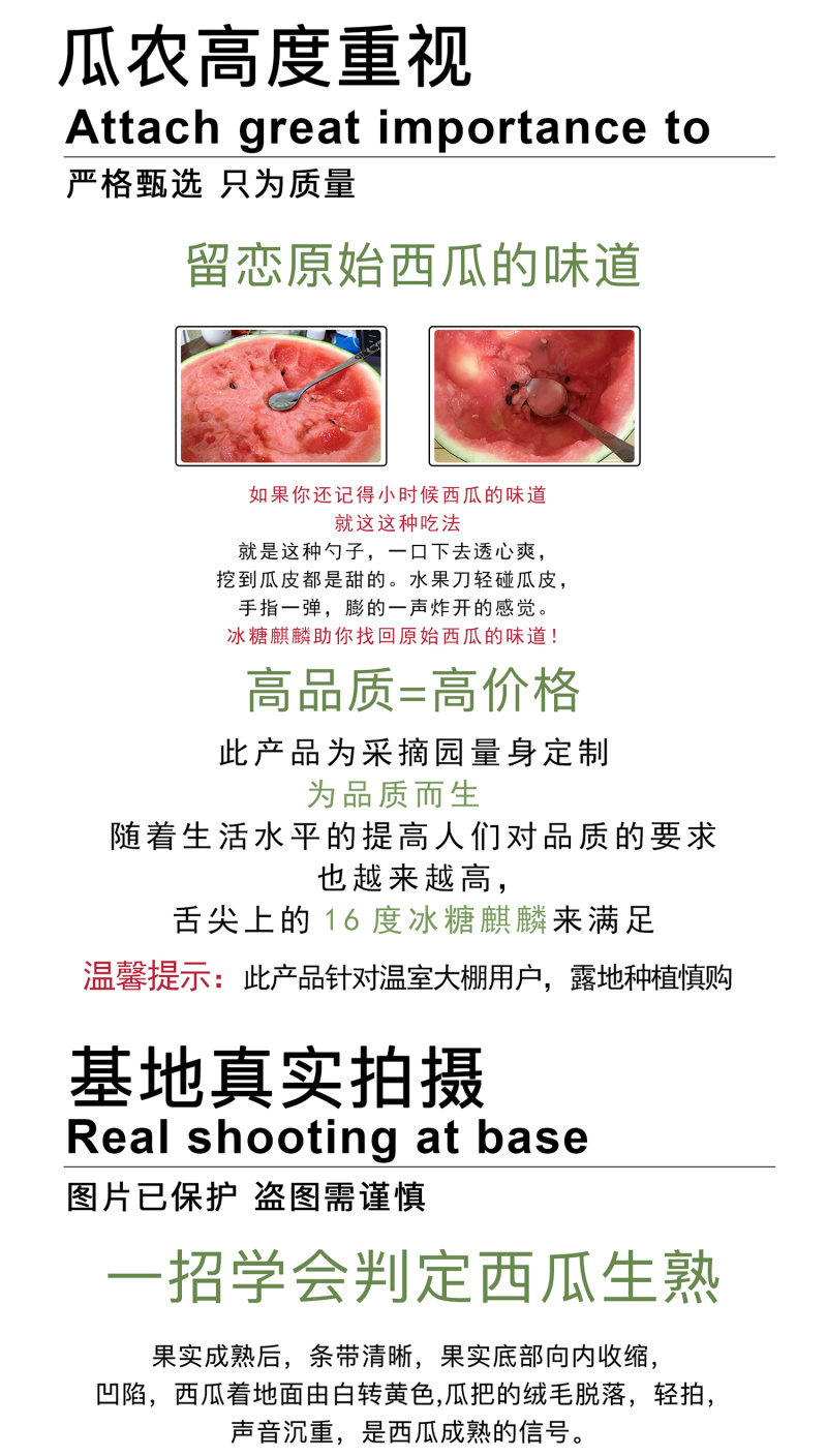 中科茂华水果种子16度冰糖麒麟西瓜种子小时候的西瓜味道