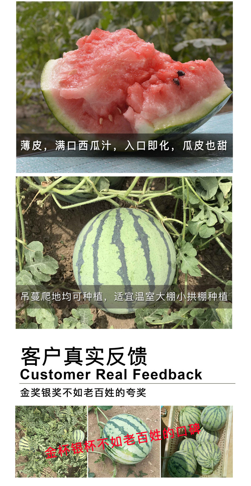 中科茂华水果种子16度冰糖麒麟西瓜种子小时候的西瓜味道