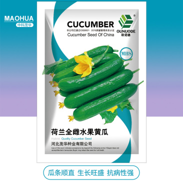 中科茂华蔬菜种子无刺全雌水果黄瓜迷你水果小黄瓜一叶一瓜