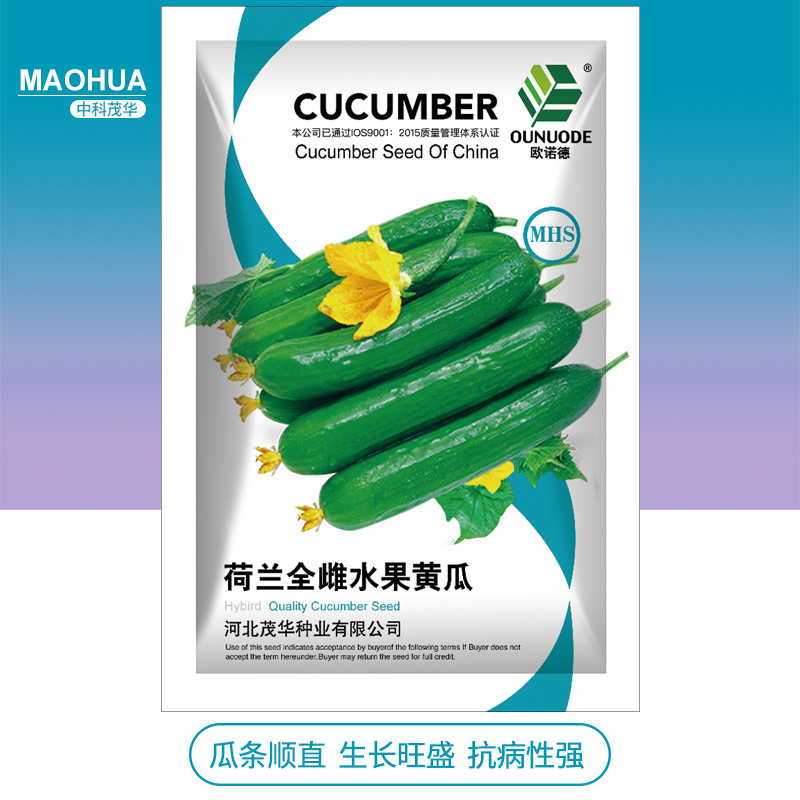 中科茂华蔬菜种子无刺全雌水果黄瓜迷你水果小黄瓜一叶一瓜