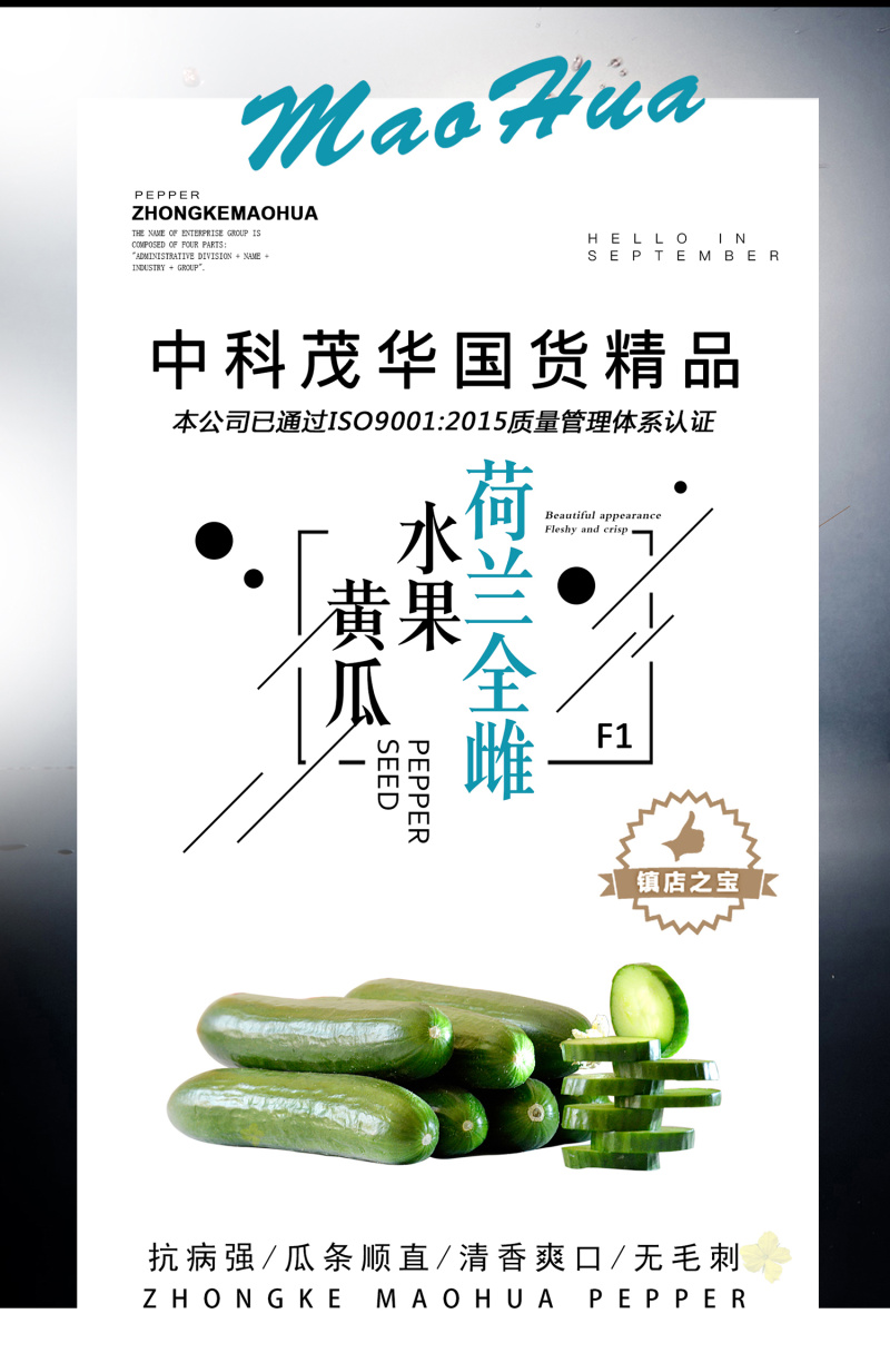 中科茂华蔬菜种子无刺全雌水果黄瓜迷你水果小黄瓜一叶一瓜