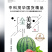 中科茂华水果种子金美都西瓜种子改良8424麒麟瓜高纯度薄