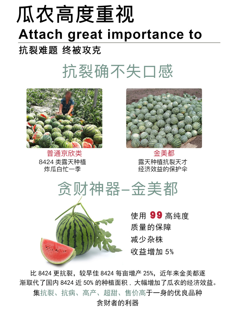 中科茂华水果种子金美都西瓜种子改良8424麒麟瓜高纯度薄