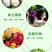 锦标0.004%14-羟基芸苔素甾醇调节生长生长调节剂
