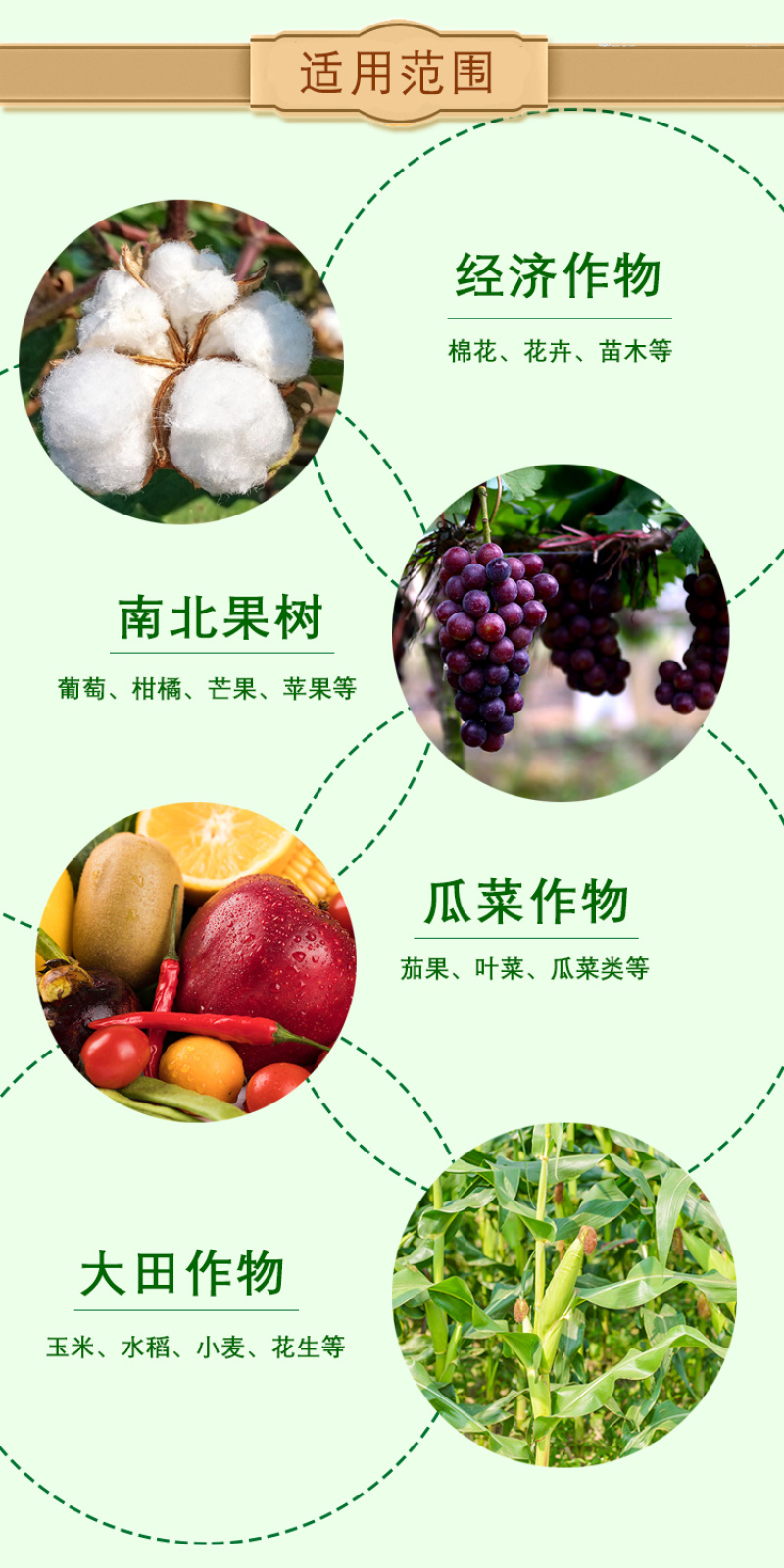 锦标0.004%14-羟基芸苔素甾醇调节生长生长调节剂