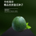 中科茂华瓜果种子杂交冰糖翡翠绿皮绿肉绿宝石甜瓜种子深绿色
