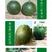 中科茂华瓜果种子杂交冰糖翡翠绿皮绿肉绿宝石甜瓜种子深绿色