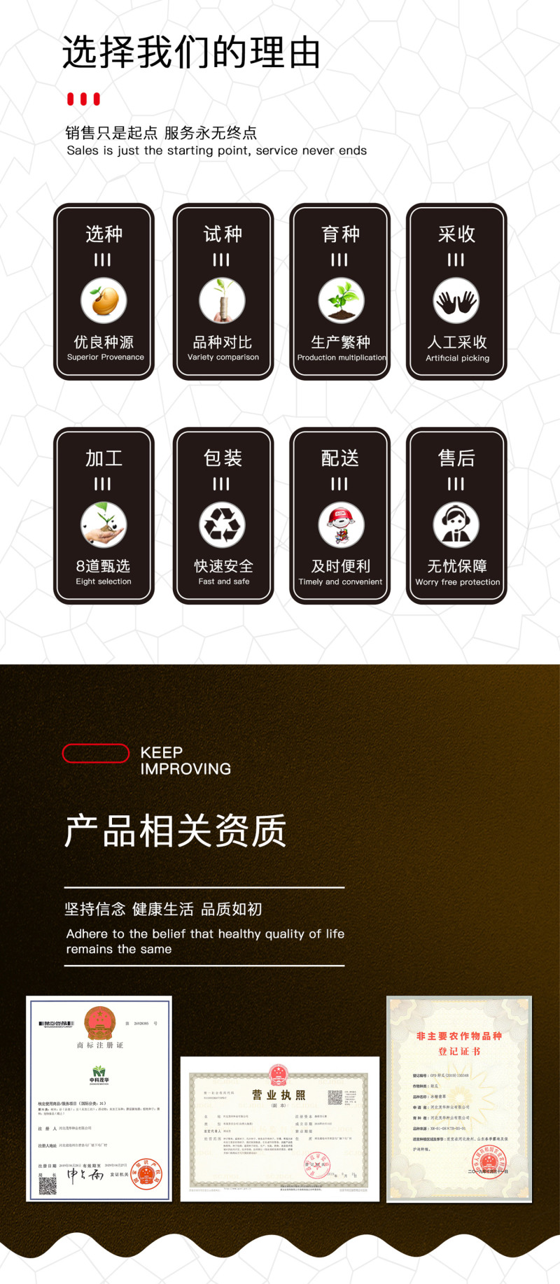 中科茂华瓜果种子杂交冰糖翡翠绿皮绿肉绿宝石甜瓜种子深绿色