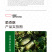 中科茂华瓜果种子脆香酥甜瓜种子花皮牛角蜜小蜜蜂香瓜種子橘