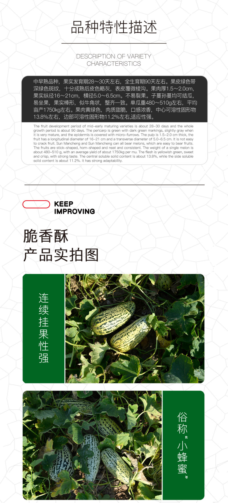 中科茂华瓜果种子脆香酥甜瓜种子花皮牛角蜜小蜜蜂香瓜種子橘