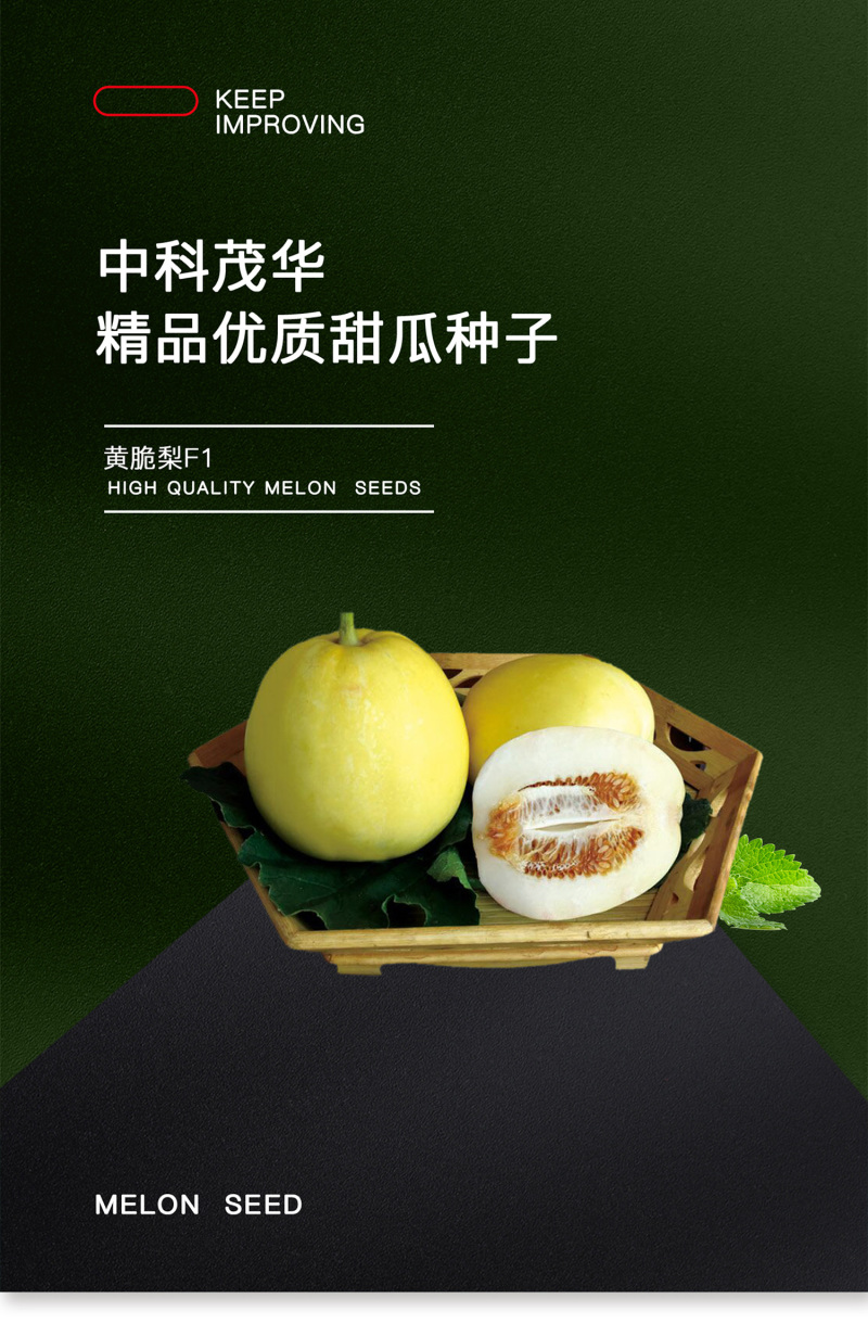 中科茂华水果种子杂交黄脆梨黄皮白肉甜瓜种子星甜20种子