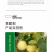 中科茂华水果种子杂交黄脆梨黄皮白肉甜瓜种子星甜20种子