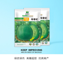 中科茂华水果种子绿香妃甜瓜种子酥脆清香绿皮绿肉