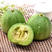 中科茂华水果种子绿香妃甜瓜种子酥脆清香绿皮绿肉